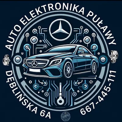 Auto Elektronika